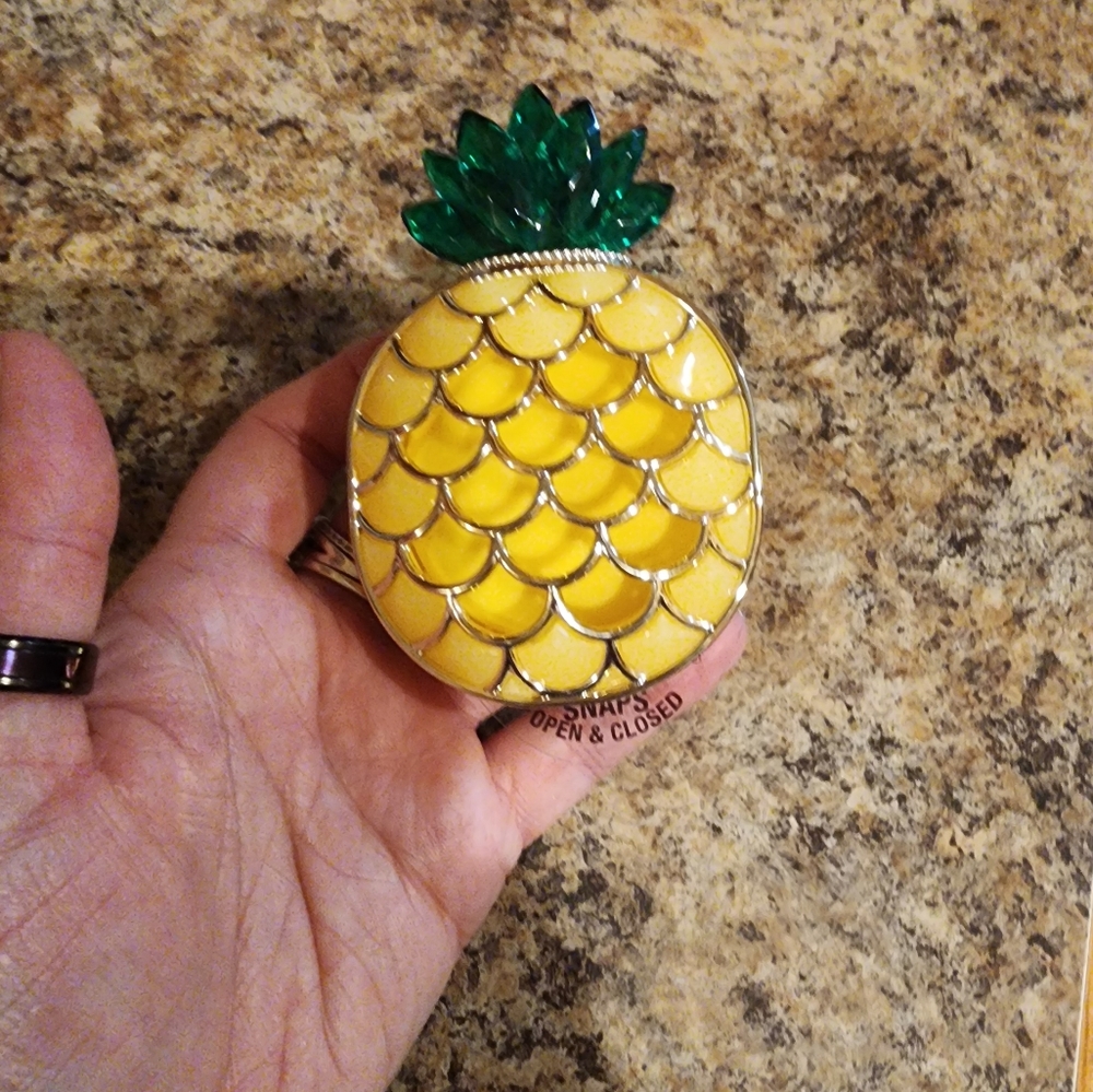 B&BW NWT vent or visor pineapple clip.